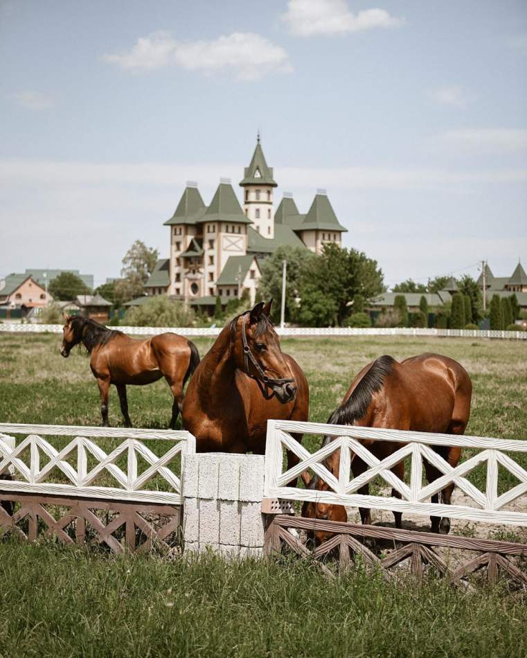 Катание на лошадях и обзорная экскурсия по комплексу «Буковинская Троя»