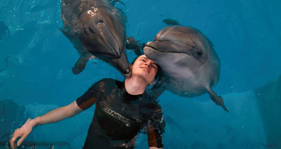 Плавання з дельфінами