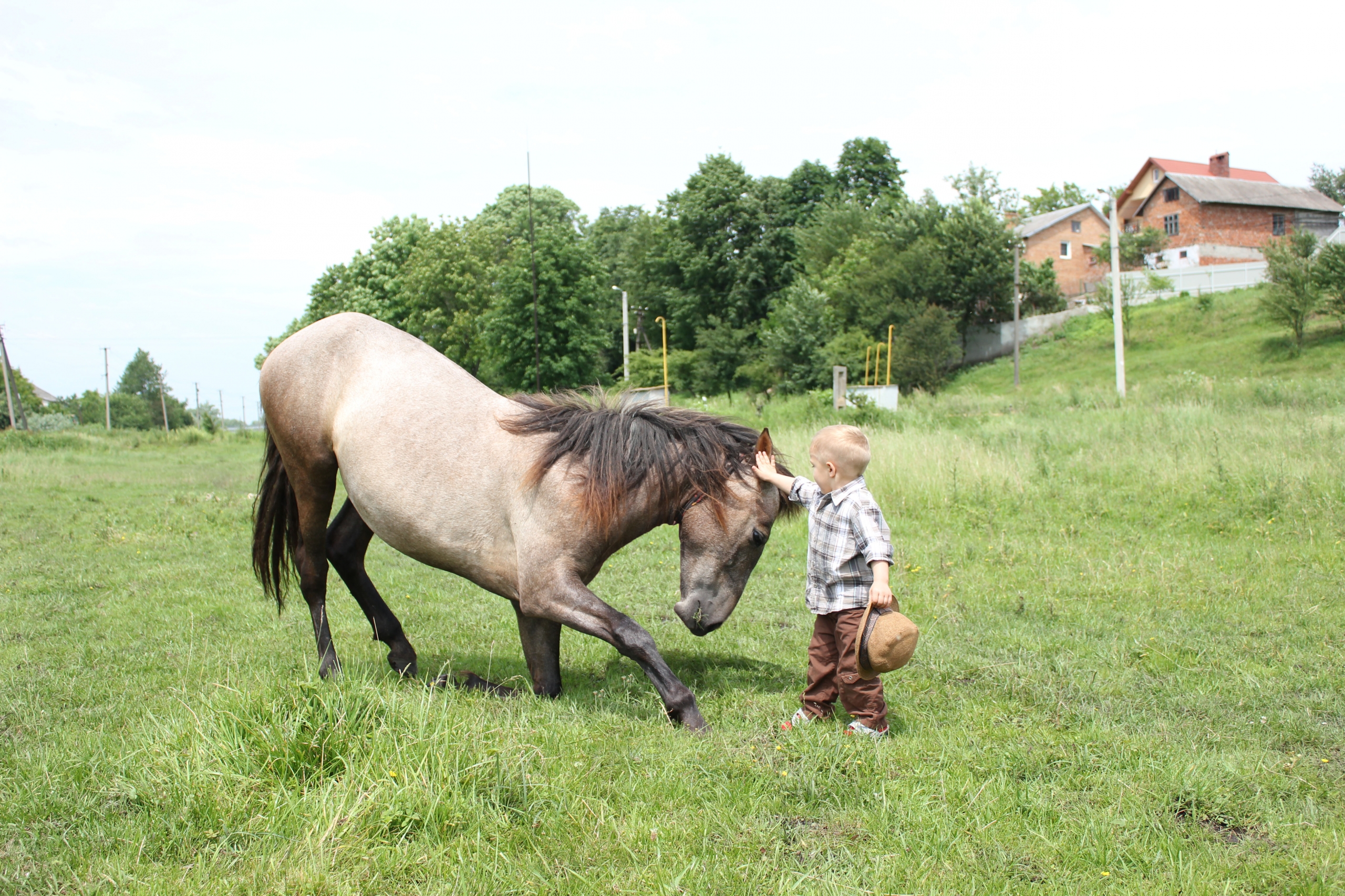 Катание на лошади для ребенка