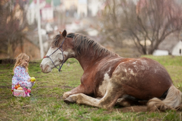 Катание на лошади для ребенка