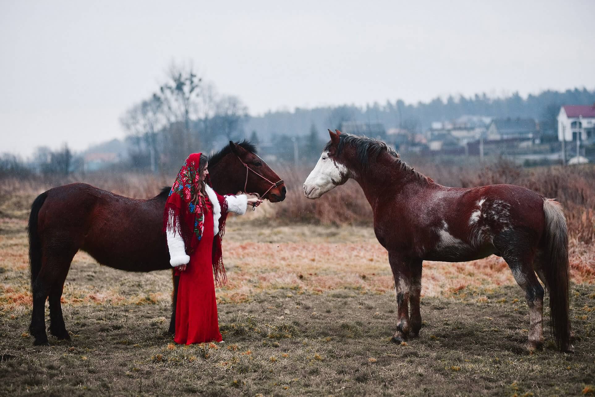 Катання на конях у Львові