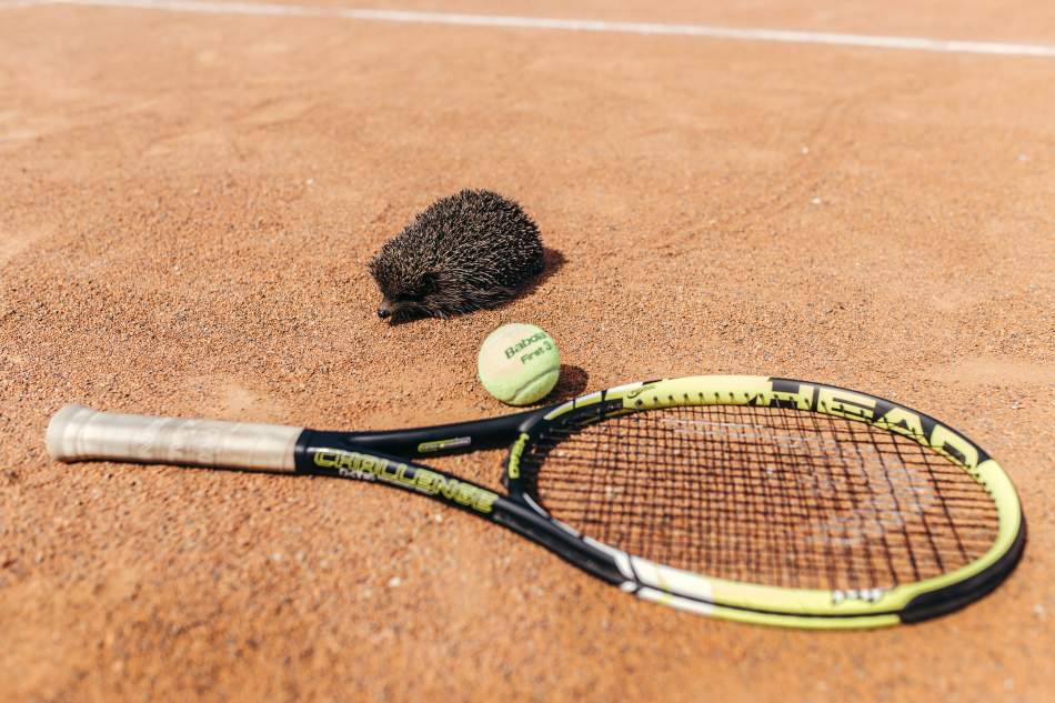 Мастер-класс игры в большой теннис