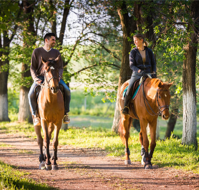 Катання на конях для двох у Тернополі