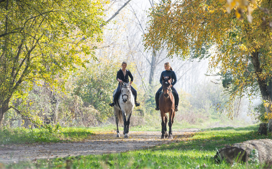 Катання на конях для двох у Тернополі