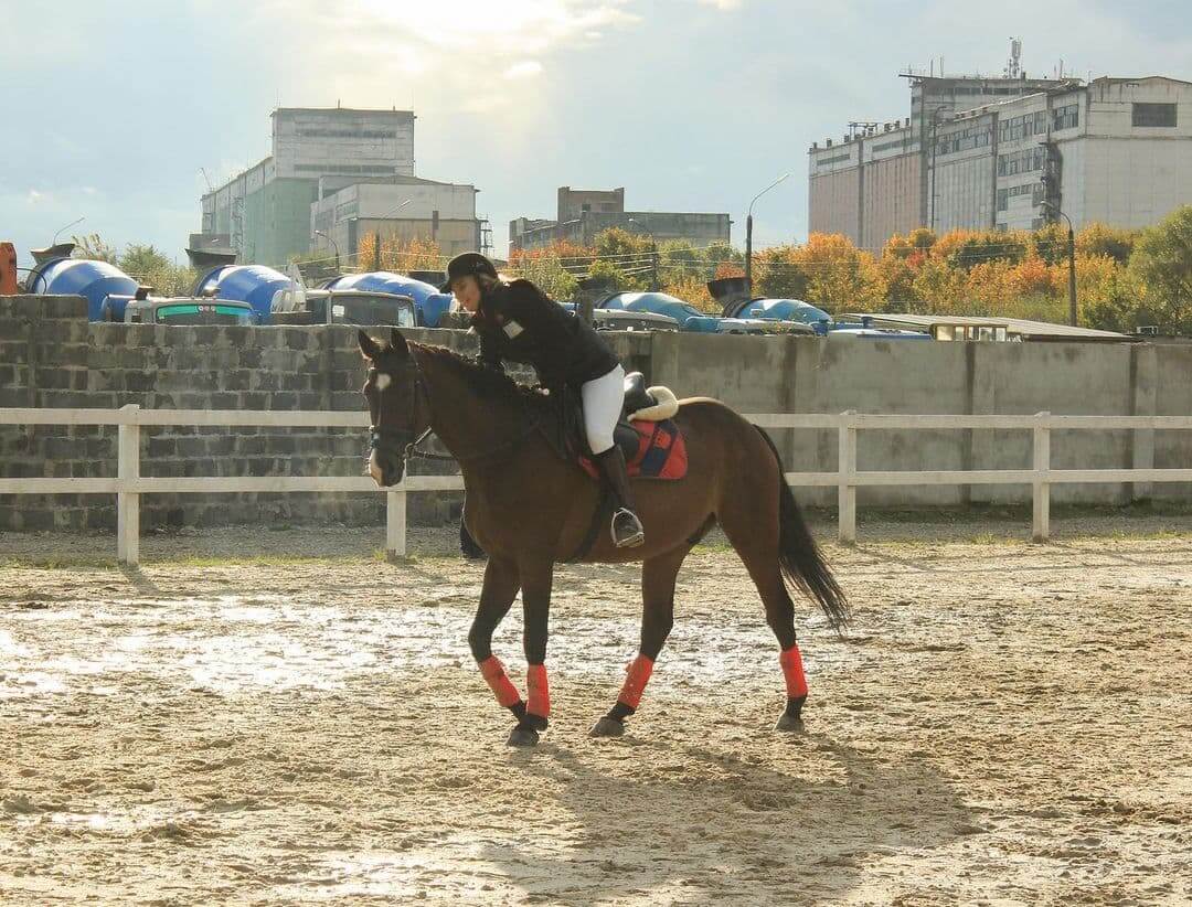 Катання на конях в Івано-Франківську для двох