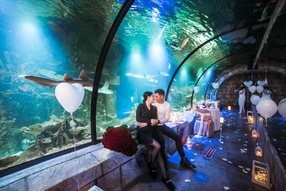 Оригинальное свидание в океанариуме