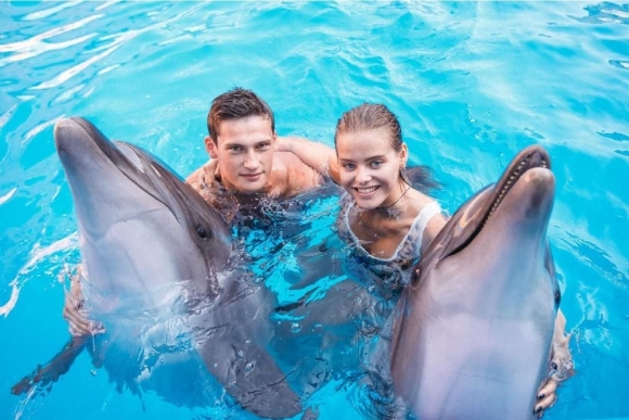 Парне плавання з дельфінами