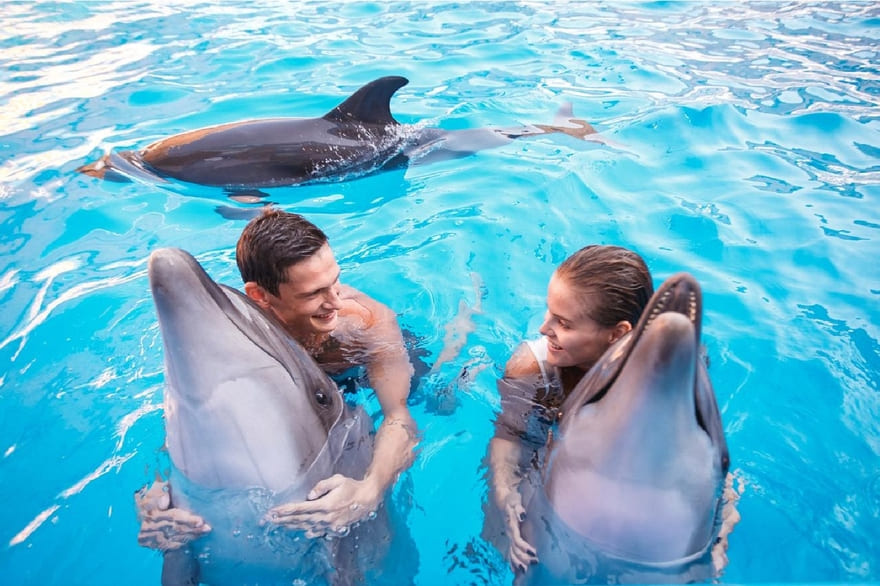 Плавання з дельфінами для двох