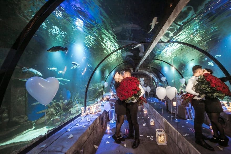 Оригинальное свидание в океанариуме