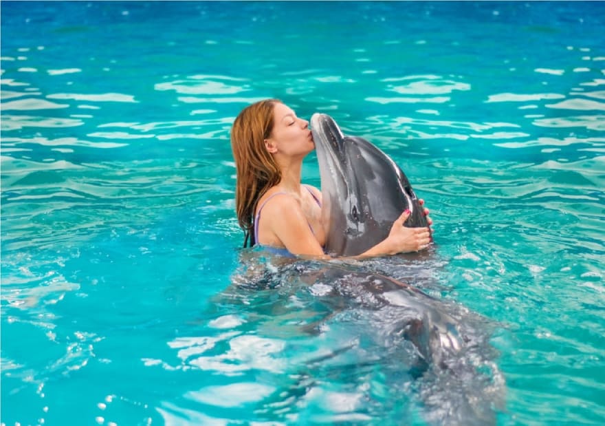 Плавание с дельфинами для двоих