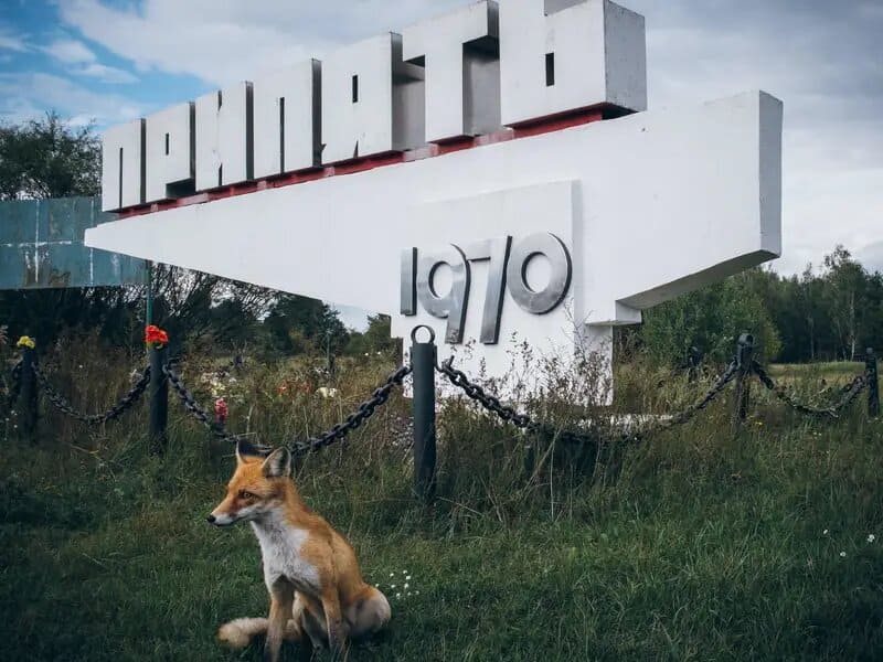 Тур в Чорнобиль та Прип‘ять з Вінниці