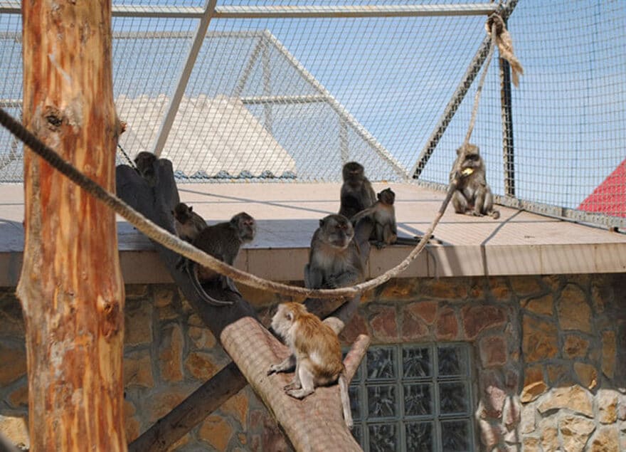 Семейный поход в зоопарк «Лимпопо»