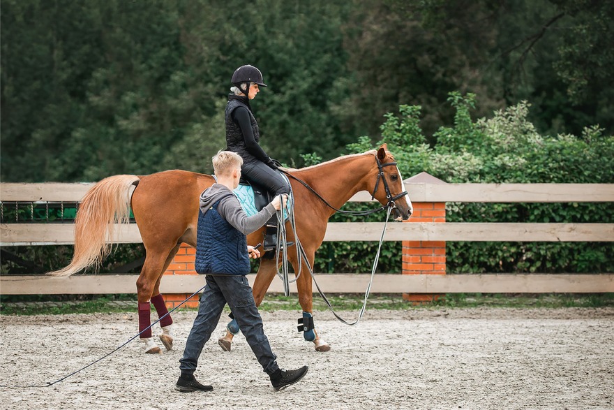 Катание на лошадях в Ровно (индивидуальное занятие с тренером)