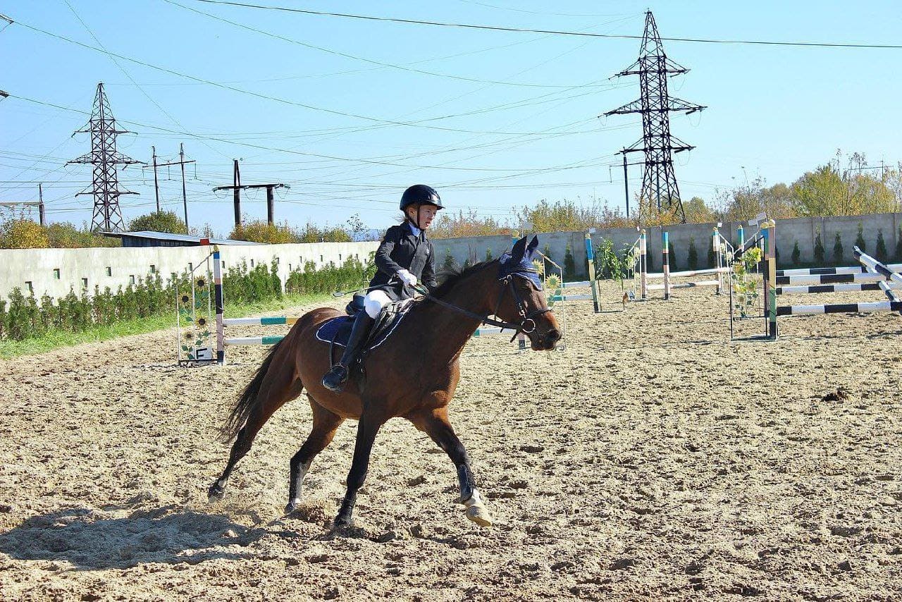 Катання на конях для дітей в Івано-Франківську