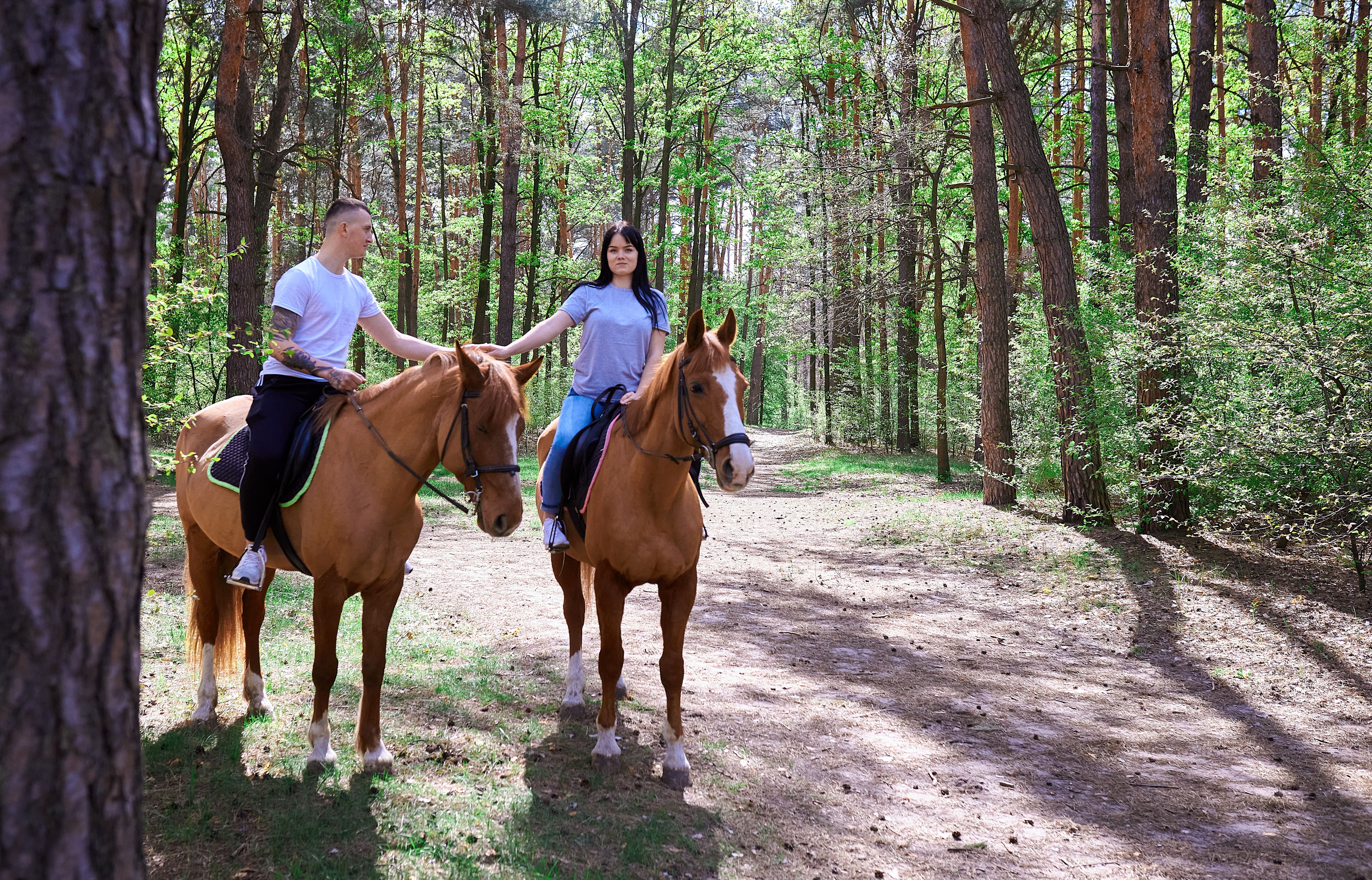 Романтичне катання на конях у Києві
