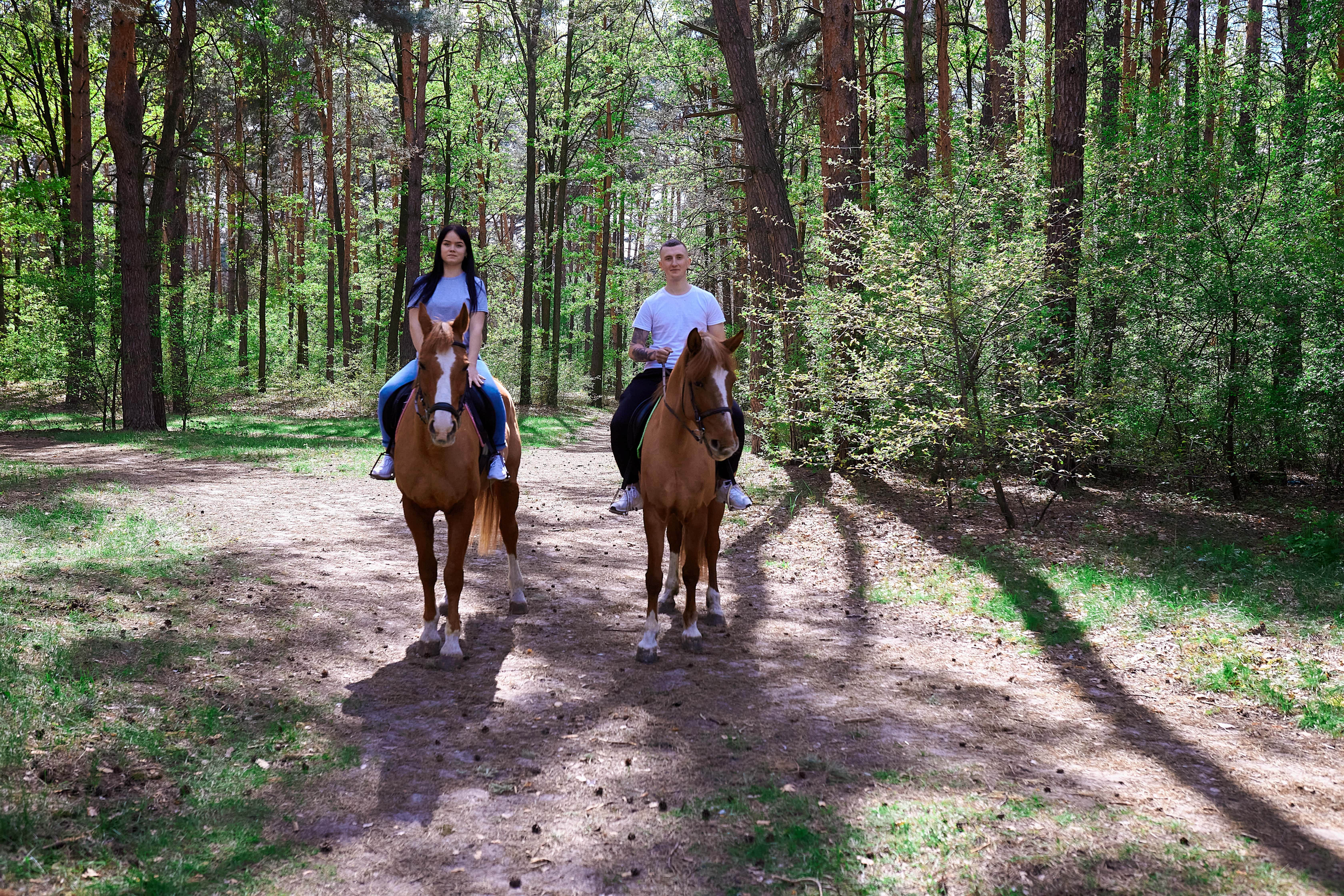 Романтическое катание на лошадях в Киеве