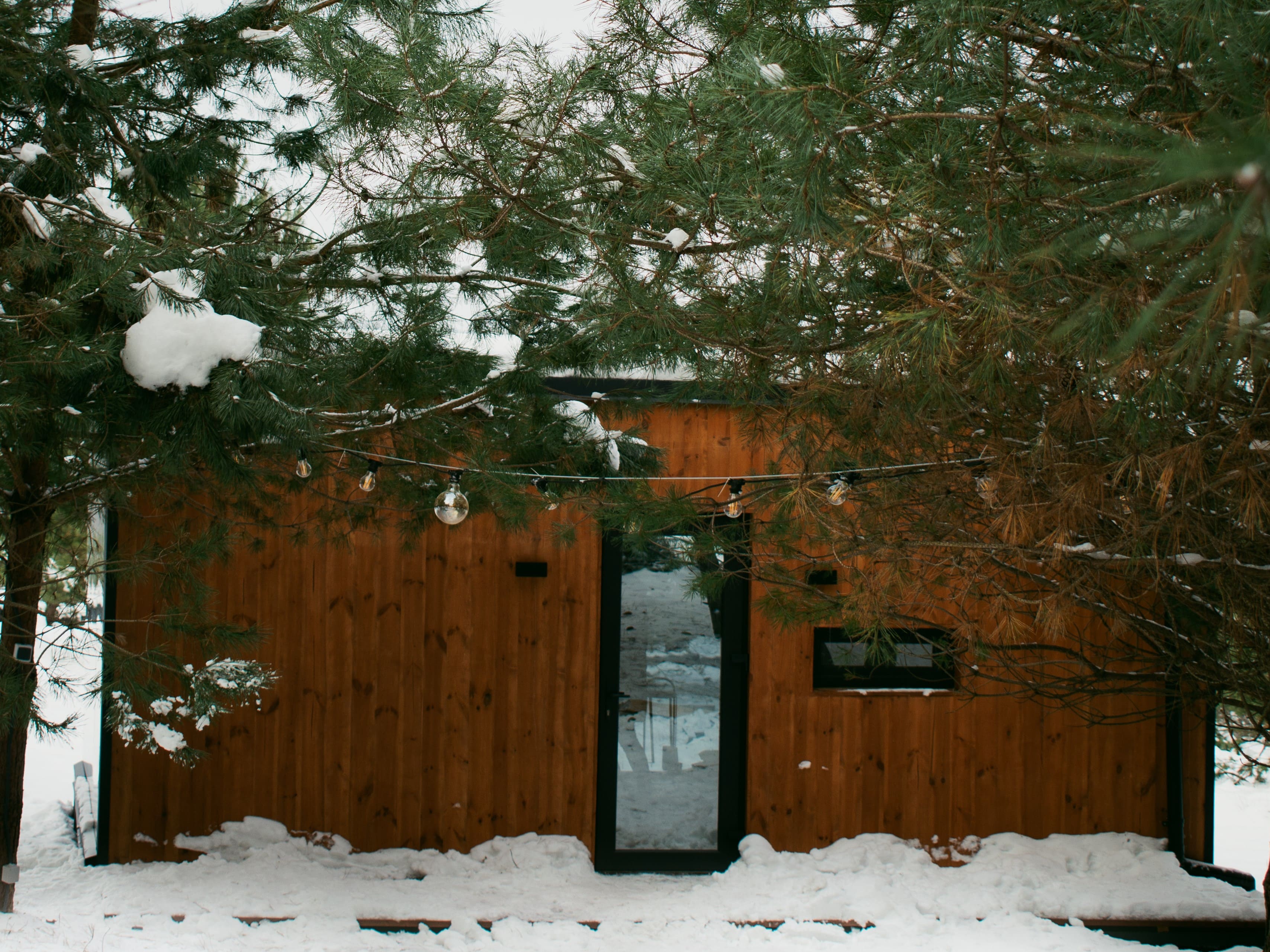 Відпочинок в будиночку з дзеркально-панорамними вікнами “Wood lodge”